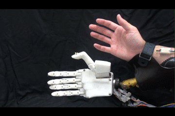 Robot Prosthetic Hand Control Mimicking Human Motor Characteristics